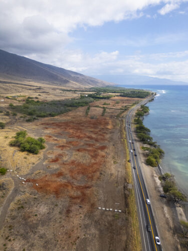 A wildfire risk-reduction project on county-owned land in West Maui led to the removal of 123 vehicles, more than 1,200 tires, 10 drums of oil, at least two pie